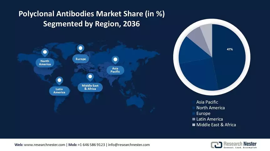 Polyclonal Antibodies Market Size